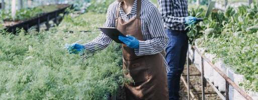 female farmer working early on farm holding wood basket of fresh vegetables and tablet photo