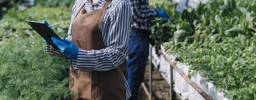 female farmer working early on farm holding wood basket of fresh vegetables and tablet photo