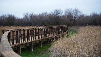 Winter at Daimiel. Severe drought, no water in the park photo