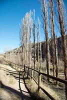 Walking path along the river with a wooden fence photo