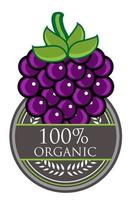 etiqueta orgánica de uva vector