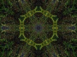 Abstract kaleidoscope background. Beautiful multicolor kaleidoscope texture. Unique kaleidoscope design. with dark green and light green base colors photo