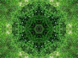 Abstract kaleidoscope background. Beautiful multicolor kaleidoscope texture. Unique kaleidoscope design. with dark green and light green base colors photo