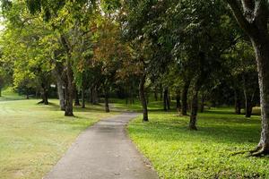 The cement road to the golf course is surrounded by trees, used for walking and providing golf carts. photo