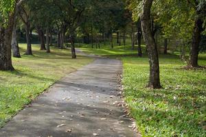 The cement road to the golf course is surrounded by trees, used for walking and providing golf carts. photo