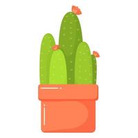 cactus in a red pot vector