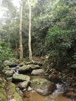 A stream, a small waterfall among the valleys, in the middle of the forest. photo