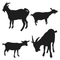 Goat, kid in a standing position. Pet silhouettes vector
