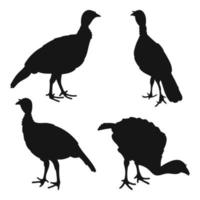 pavo, gobbler, posición de pie, conjunto de siluetas de aves dibujadas a mano, vector aislado