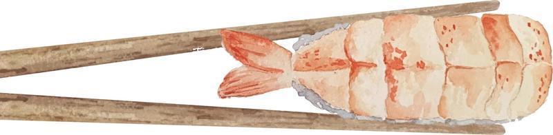 Watercolor nigiri sushi with shrimp between wooden chopsticks top view on white background. vector