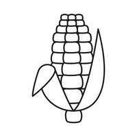 Corn cob, plant with kernel line icon. Linear sketch, outline spica plant for agriculture, porridge. Vector sign