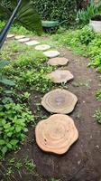 Log shape stepping stone pathway laying on the grass at garden or park. photo