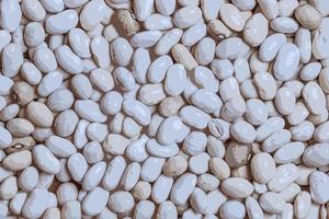 Realistic vector illustration of a background of white haricot beans. Texture from raw bean seeds. Healthy food concept.