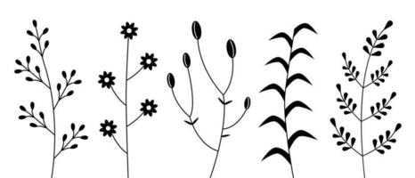 Floral set of plant elements. Vector illustration. Hand drawn branches and twigs with leaves and flowers.