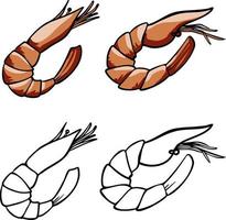 Large shrimp, drawn in graphic lines on a light background. Retro engraving for fish restaurant menus, for packaging at markets and stores. Vector vintage illustration.