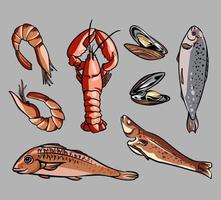 colección de imágenes planas de mariscos de moda. mejillón de dibujos animados, pescado, camarones, caviar, langosta, cangrejo de río, cangrejo, ostra y atún ilustraciones vectoriales aisladas. concepto gourmet y nutrición vector