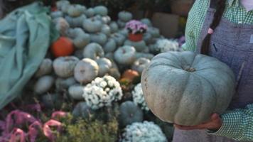 Woman holds large green pumpkin video