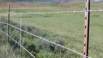 Barbed Wire Fence and Green Grass Field Blowing in the Breeze video