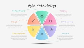 Metodología ágil infográfica. plantilla infográfica moderna y colorida. vector