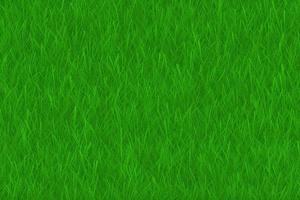 Green lawn grass texture vector background