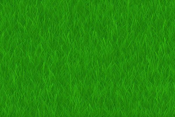 Green lawn grass texture vector background