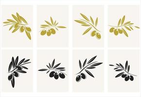 Collection of different olive branch isolated on white background vector