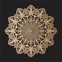 Mandala Design Decorative Pattern Decoration Snowflake vector