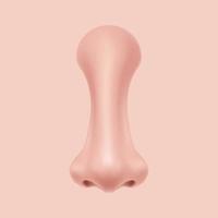 Front view Human Nose on the face realistic Illustration for medicine, Isolated on  background Design Vector. Rhinoplasty example. Body part for biology. vector