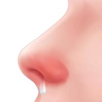 Profile view Human Nose on the face realistic Illustration for medicine, Isolated on white background Design Vector. Body part for biology. symptoms of allergy and cold congestion, sneezing runny nose