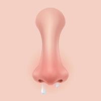 Front view Human Nose on the face realistic Illustration for medicine, Isolated on background Design Vector. Body part for biology. symptoms of allergy and cold congestion, sneezing, runny nose. vector