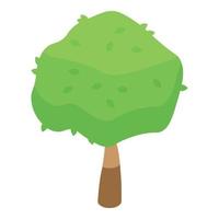 Tree paper icon, isometric style vector