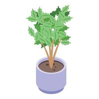 icono de la planta de café, estilo isométrico vector