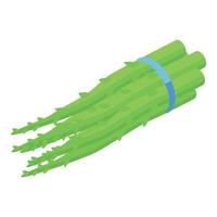 Asparagus branch icon, isometric style vector