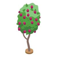 Plum fruit tree icon, isometric style vector