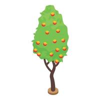 Peach fruit tree icon, isometric style vector