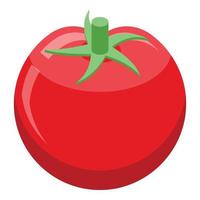 Farm tomato icon, isometric style vector