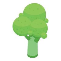 Healthy brocoli icon, isometric style vector