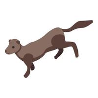 Pet mink icon, isometric style vector