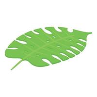 icono de hoja tropical, estilo isométrico vector