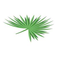 Palm tree leaf icon, isometric style vector