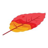 Tree autumn leaf icon, isometric style vector