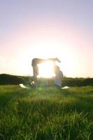 un joven y una chica con trajes deportivos practican yoga en una pintoresca colina verde al aire libre por la noche. el concepto de practicar deportes en pareja y un estilo de vida saludable foto