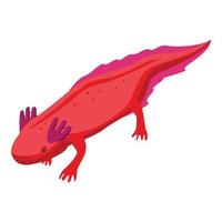 Axolotl animal icon, isometric style vector