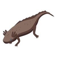 Endangered axolotl icon, isometric style vector