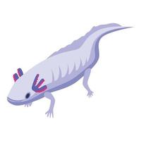 Aquatic axolotl icon, isometric style vector