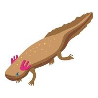 Axolotl icon, isometric style vector