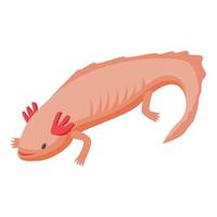 Axolotl lizard icon, isometric style vector