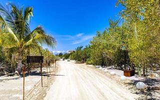 Sandy muddy road walking path and nature landscape Holbox Mexico.