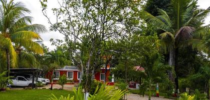 conduciendo a través del barro del pueblo de solferino y la selva tropical de méxico. foto