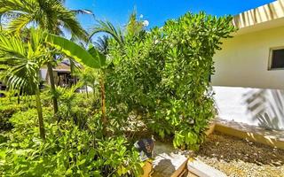 Resorts and tropical nature landscape view Holbox Mexico. photo